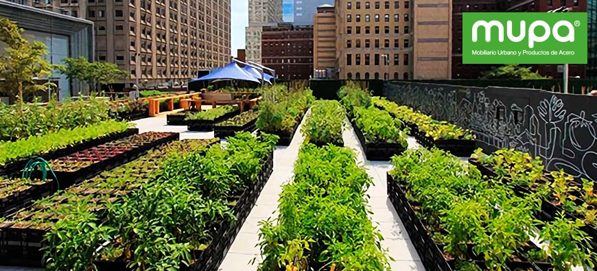 Huertos Urbanos:Una nueva alternativa de agricultura en la ciudad | MUPA