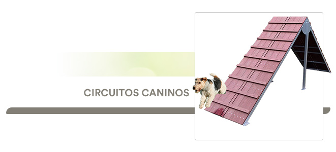 Circuitos Caninos