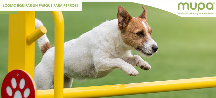 ¿Cómo equipar un parque para perros? Guía para crear espacios funcionales y seguros - blog